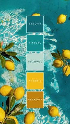 Found this on Pinterest in 2025 | Color palette, Color palette design, Color design inspiration