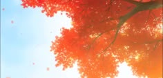 the sun shines brightly through red leaves on an autumn tree in front of a blue sky