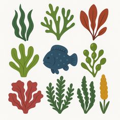 🌿 Underwater Plants – Seaweed & Aquatic Flora Set