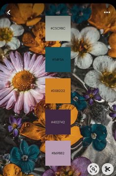 an image of flowers in the water with colors to choose from, including purple and yellow