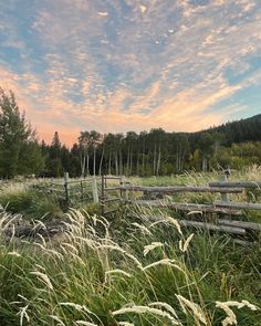 What a magical weekend celebrating Mr and Mrs Rauch on the ranch! 🌾✨ The skies were as beautiful as their love, and the company was unforgettable. Thank you for including us! 💕 Travel Lifestyle, The Ranch, Fashion Lifestyle, Celebrities, Travel, Instagram