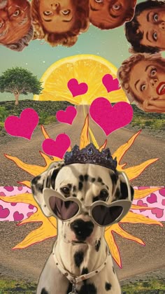 Shuffles: Dalmatian Dog with Heart Hat and Sunglasses