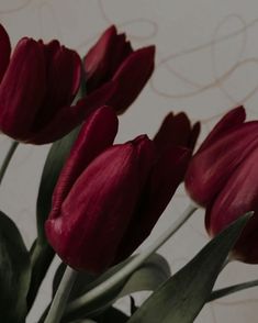 some red tulips are in a vase on the table