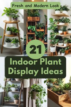 indoor plant display ideas with text overlay that reads, fresh and modern look 21 indoor plant display ideas
