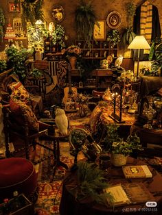 a living room filled with lots of furniture and plants