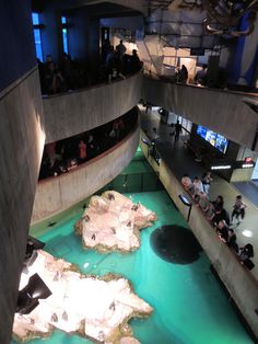 Boston Aquarium with all the cousins when i was a teen | New england aquarium, Massachusetts travel, Kids things to do