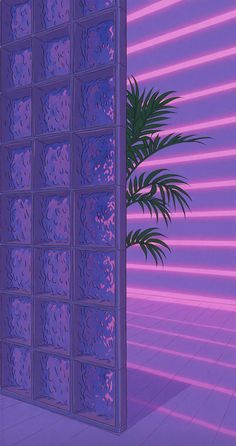 a purple room with a potted plant in the corner and a pink wall behind it