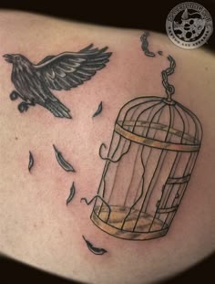a bird flying out of a cage next to a bird in it's beak