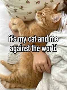 a person laying in bed with a cat on top of their back and the caption reads, it's my cat and me against the world