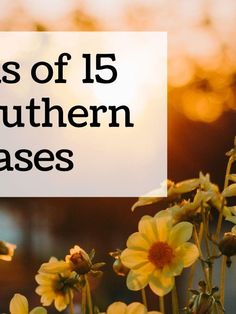 yellow flowers with the words types of 15 southern grasses in front of an orange sky