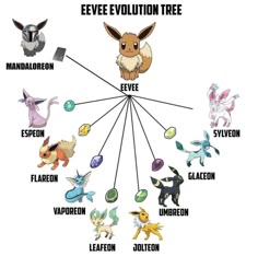 Pinterest in 2025 | 150 pokemon, Pokemon eevee, 151 pokemon