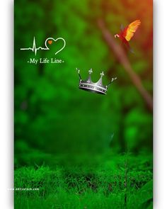 a crown floating in the air next to a tree with a bird flying over it