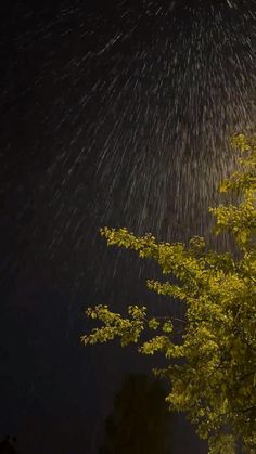 Pin by الاء إبراهيم |Alaa on سناب 🟡🟡🟡🟡🟡🟡🟡🟡 in 2025 | Rain photography, Night sky photos, Nature photography