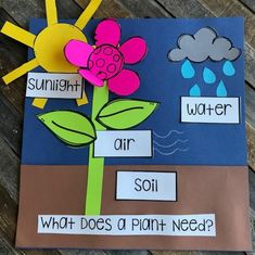 a paper cut out of a flower with the words sunlight, water and air on it