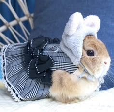 Conejito adorable con vestido y sombrero