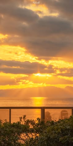 Pin von majo.xoxox auf golden hour light | Hintergründe, Gelber hintergrund, Naturbilder