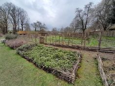 Rustic Vegetable Garden in the Countryside