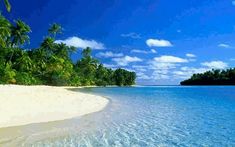 the beach is surrounded by palm trees and clear water
