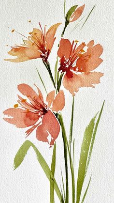 Pin by Phyllis McMillin on Ink and Watercolor in 2025 | Watercolor flowers, Watercolor flower art, Watercolor flowers paintings