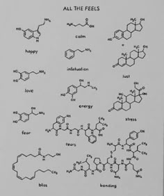 an image of the chemical formulas for all the feels