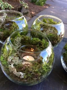 Pin by Maggie Mae on Mothers Brunch in 2025 | Forest theme wedding, Forest wedding, Enchanted forest wedding