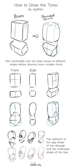 Figure Drawing Proportions Worksheet - Worksheet Educational Ideas | Figure drawing tutorial, Figure drawing, Drawings