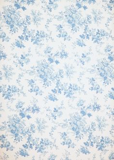 Pin by Claire Collet on Things in 2025 | Blue floral wallpaper, Blue flower wallpaper, Pastel blue background