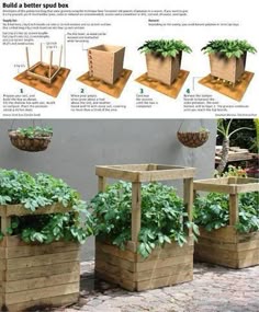 the instructions for building a raised garden box are shown in three different stages, including growing plants