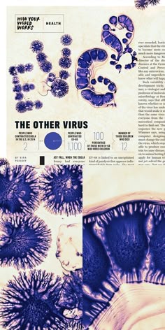an article about the different types of plants and animals in their natural habitat, including sea urchins