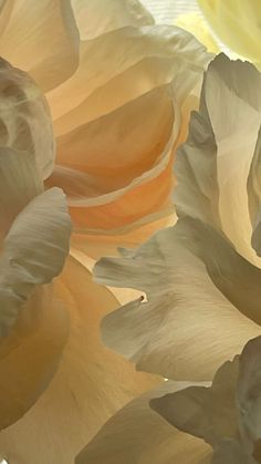 an image of some flowers that are in the air