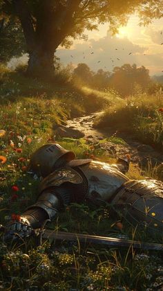 a knight laying on the ground next to a tree