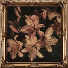 some flowers are in a gold frame