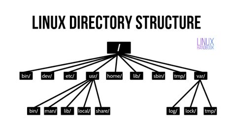 This tutorial explains the Linux directory structure. You'll learn the Linux filesystem hierarchy along with the purpose of the various directories on a Linux system. Linux, Filing System, System Administrator, Open Source, Hierarchy, Linux Mint, Sd Card