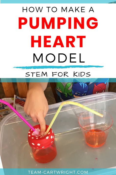 Science Experiments, Pre K, Science Experiments Kids Elementary, Science Experiments Kids, Science Experiments Kids Preschool, Stem Projects, Elementary Science Experiments, Human Body Science Projects, Physical Science Activities