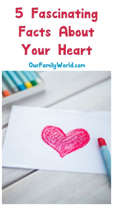 Celebrate Heart Month by getting to know your hardest working organ with these five fascinating facts about your heart + the signs of a heart attack. Read it now! #ad Canada, Signs Of Heart Attack, Getting To Know You, Doctor Advice, Health Advice, Good Health Tips, Heart Facts, Heart Month, Fun Facts