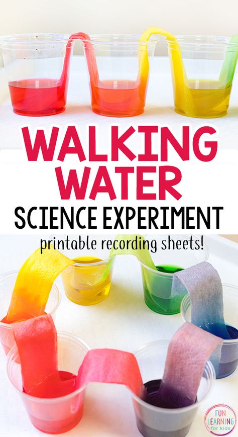 Diy, Science Experiments, Life Hacks, Pre K, Water Science Experiments, Walking Water Experiment, Science Experiments For Preschoolers, Science Experiments Kids, Science Activities For Kids
