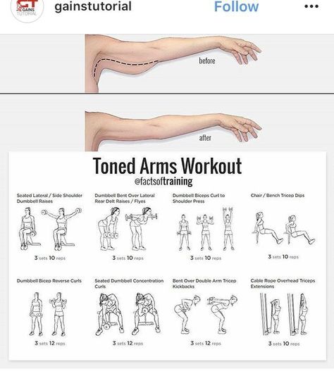 Exercises, Gym, Karate, Fitness, Arm Workout, Full Body Workout, Workout, Exercise, Fitness Body