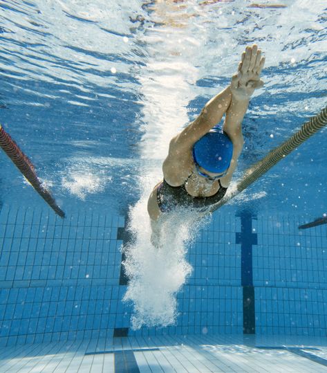 Young female swimmer diving in the pool