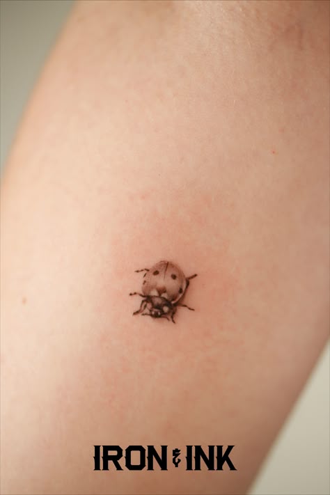 Selected board cover image