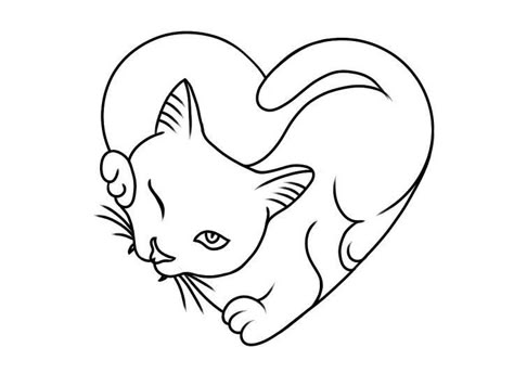 Selected board cover image