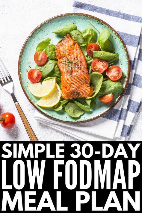 30-Day Low FODMAP Meal Plan for Beginners | If you’re looking for a simple guide to help you get started – and stay motivated – with the Low FODMAP diet, we’ve curated 30 days of breakfast, lunch, dinner, snack, and dessert recipes. With 120 easy Low FODMAP recipes to choose from, there are ideas to suit every palette and dietary need, including gluten free, vegetarian, and vegan recipes. We’ve even thrown in some crockpot & instant pot ideas for added convenience! #lowfodmap #lowfodmaprecipes Diet And Nutrition, Healthy Recipes, Meal Planning, Nutrition, Low Fodmap Diet Recipes, Keto Diet Meal Plan, Diet Meal Plans, Ketogenic Diet Meal Plan, Low Fodmap Diet