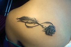 Selected board cover image