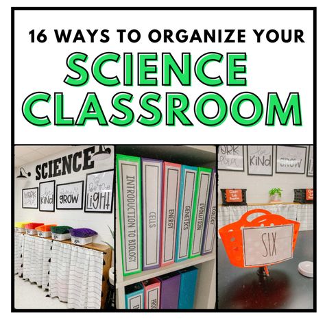 16 Ways to Organize Your Science Classroom ⋆ The Trendy Science Teacher Ideas, High School, Middle School Science, Classroom Ideas, Middle School Science Classroom, Middle School Science Teacher, Middle School Science Lab, Elementary Science Classroom, Middle School Classroom
