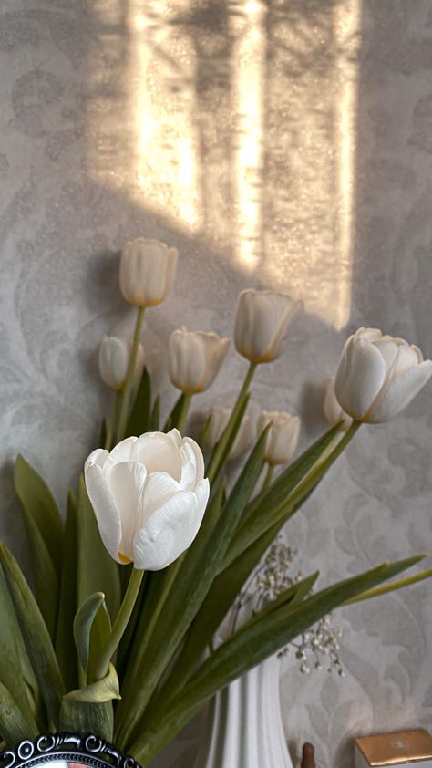 Selected board cover image