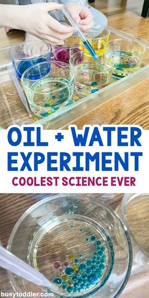 Ideas For Science Center Preschool, Stem Project For Kindergarten, Preschool Demo Lesson Ideas, Oil And Water Science Experiment, Preschool Oil And Water Experiment, Water And Oil Experiment, Coffee Filter Science Experiment, Pre K Water Activities, Color Activities For One Year Olds
