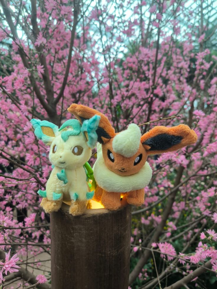 Pokemon di 2025