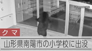山形の小学校にクマ　校舎の窓ガラス割って立ち去る　学校は臨時休校