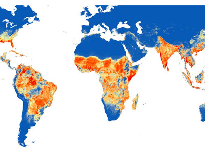 Zika probability map