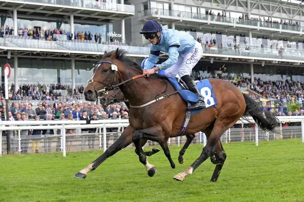 Spycatcher is fancied to win the big race at York on Wednesday