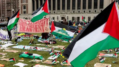 Palestinian flags are seen at Columbia University in New York